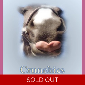 Crunchies horse treat 1kg